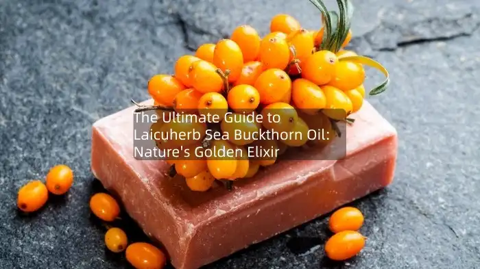 The Ultimate Guide to Laicuherb Sea Buckthorn Oil: Nature's Golden Elixir